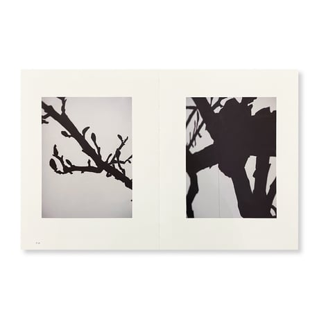 日高理恵子 / 空間と、自然光と、絵と、