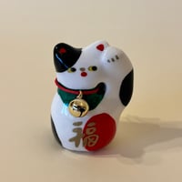 三毛猫<左手>