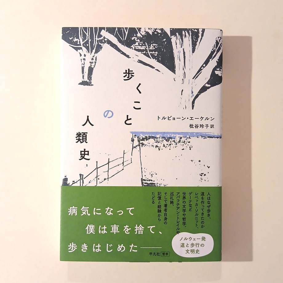 6a53113ae99ff91d0c05f00e