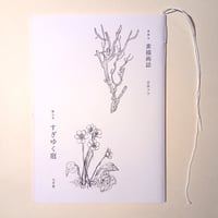 素描画誌 第七号 すぎゆく庭