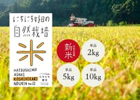 自然栽培米【 コシヒカリ 】 　2kg/5kg/10kg