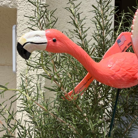PINK FLAMINGOS WINDMILL