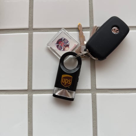 LED Carabiner Flashlight "UPS"