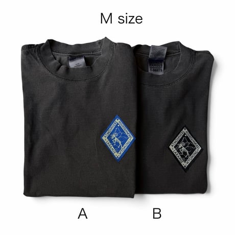 ATMOSPHERE MOUNTAIN WORKS / PRINTED L/S TEE