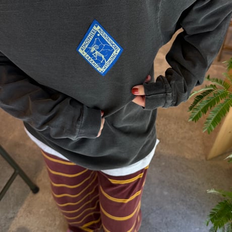 ATMOSPHERE MOUNTAIN WORKS / PRINTED L/S TEE