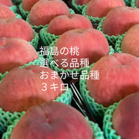 福島の桃 送料込み はつひめ5kg | かんたファームONLINESTORE