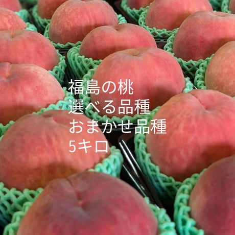 福島の桃　送料込み！　5kg