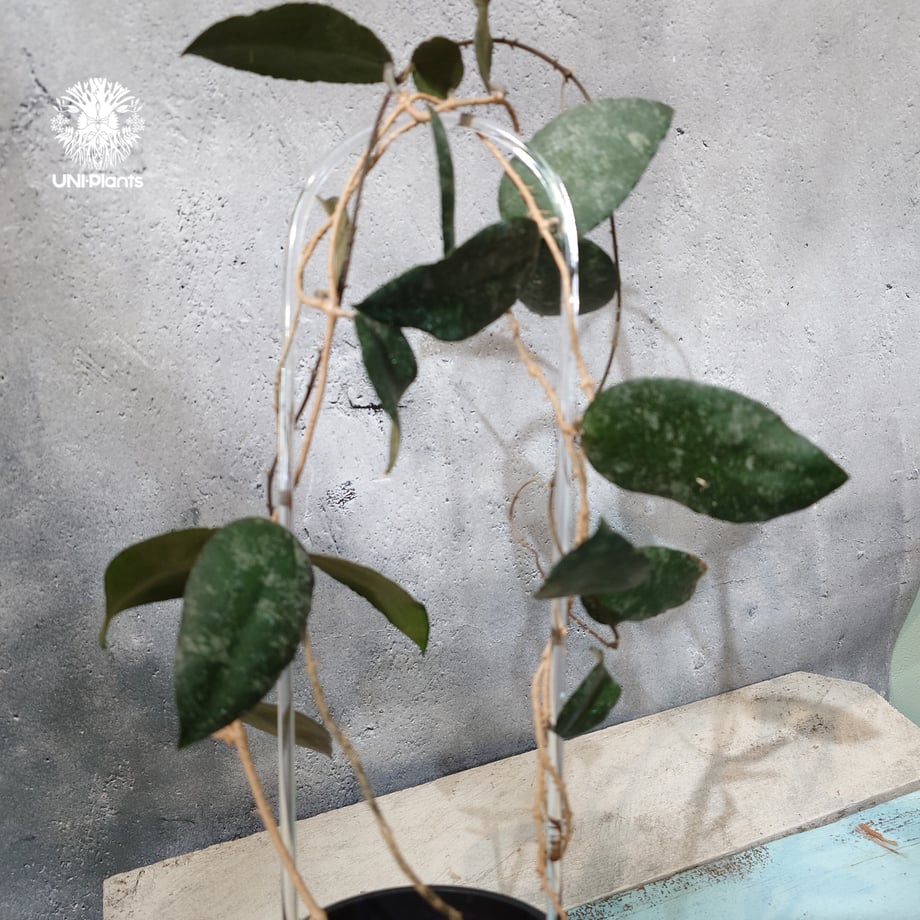 6ac5ebefcdd3e565c8fb58a8