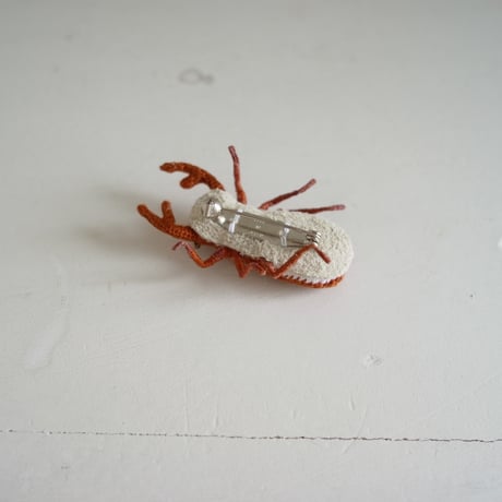 クワガタ　ブラウン