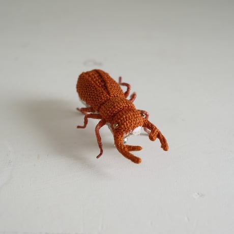 クワガタ　ブラウン