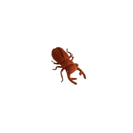 クワガタ　ブラウン