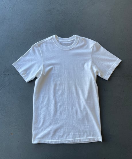 DEAD STOCK patagonia organic cotton blank tee