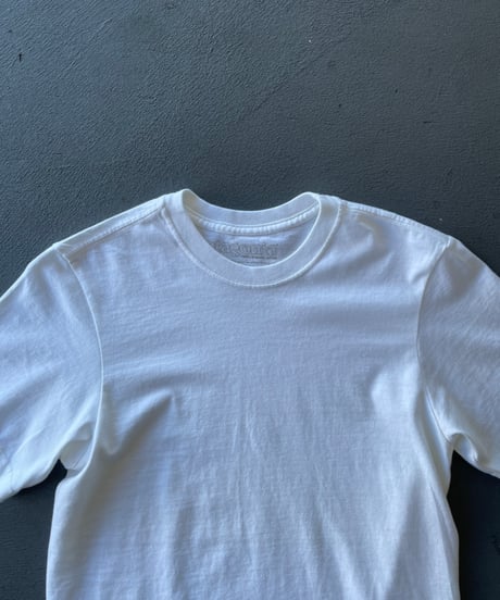 DEAD STOCK patagonia organic cotton blank tee