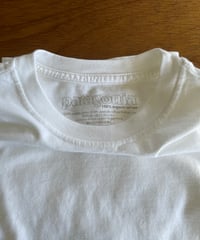 DEAD STOCK patagonia organic cotton blank tee