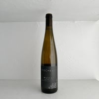 <WHITE> Muscat Ursprung 2023-2024 / Domaine Fischbach