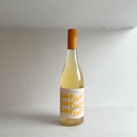 <WHITE> Safari 2025 / Schodl