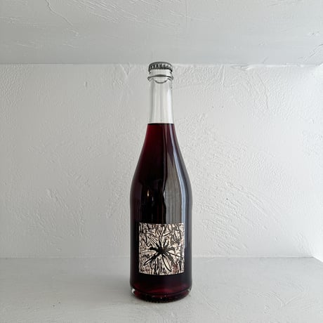 <RED> Linia ondulata 2024 / L'absurde genie des fleurs