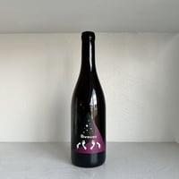 <RED> Bivouac Rouge 2024 / Domaine Jeremy Bricka