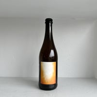 <ORANGE> Costa Rawa 2024 / Anais Fanti
