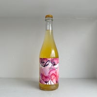 <SPARKLING,WHITE> 404 pet nat verdejo 2023 / SONS OF WINE