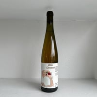 <ORANGE> Skin Contact Sylvaner 2022 / SONS OF WINE