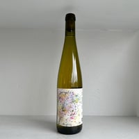 <WHITE> Perception 2023 / SONS OF WINE