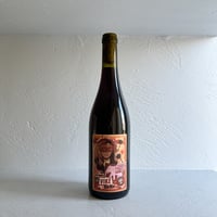 <RED> C'est la Vike Belle 2025 / L'Arbre Vike