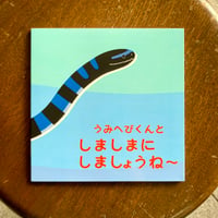 うみへびくんとシリーズ 　うみへびくんと しましまに しましょうね～