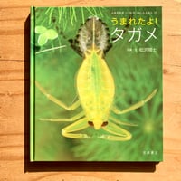 日本魚類館 精緻な写真と詳しい解説 （小学館の図鑑Z） | SAKANA