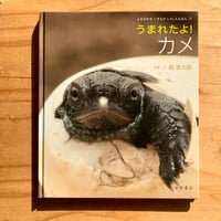文化財と標本の劣化図鑑 | SAKANA BOOKS オンライン