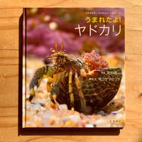 海棲哺乳類大全 彼らの体と生き方に迫る | SAKANA BOOKS オンライン