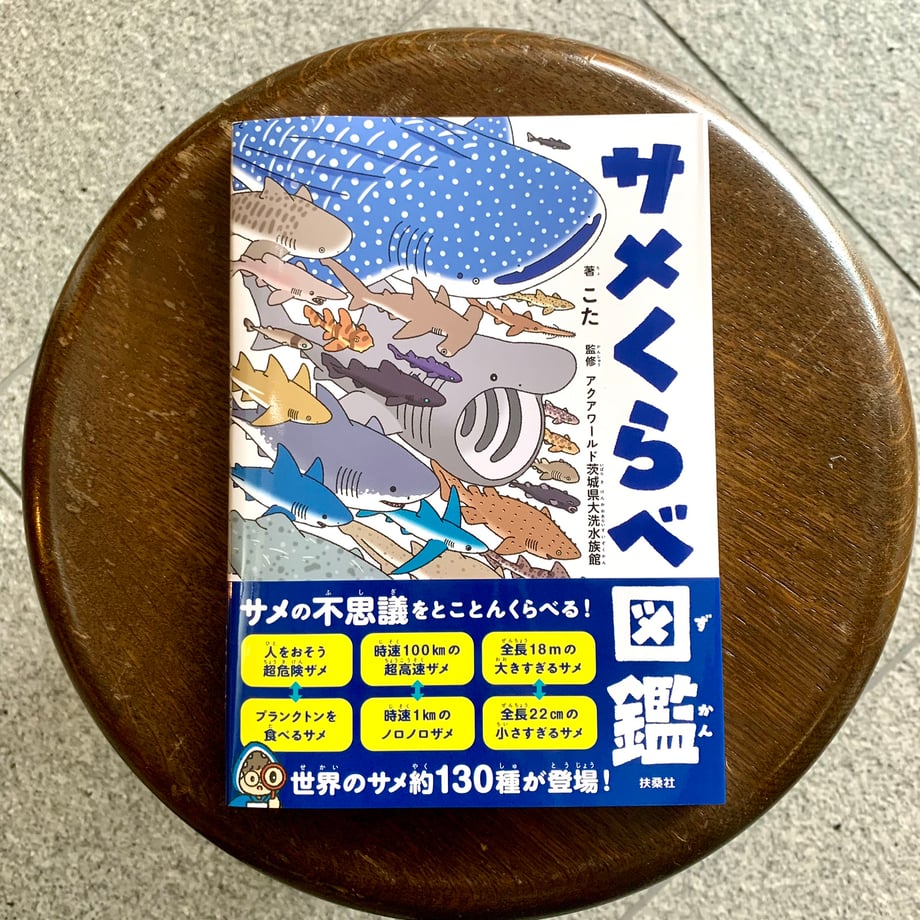 6a5d9dfe81cb29a953ca20f2