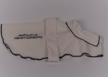 UV cut cape