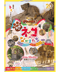 世界のネコのなかまたち　劇場版ダーウィンが来た！