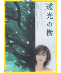 透光の樹