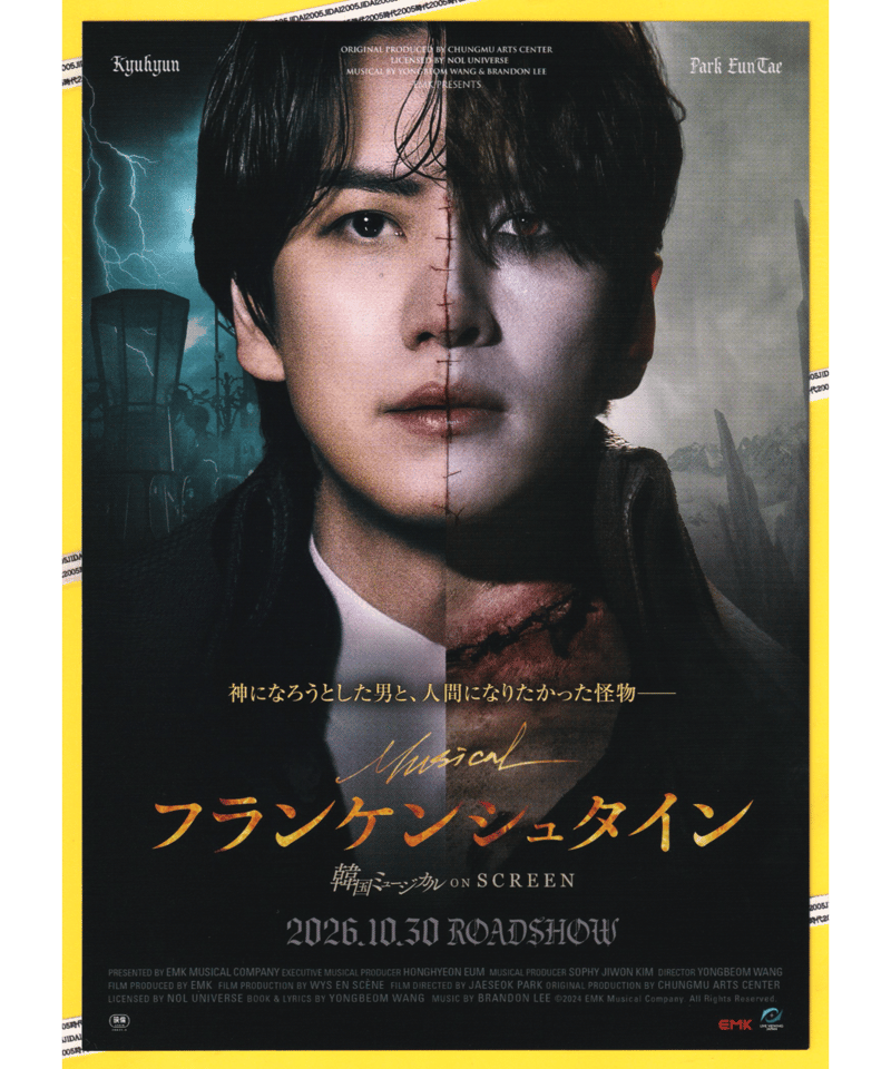 映画チラシ・フライヤー・パンフレット販売 大辞典
