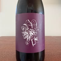 GRAPESHIP  /  紫陽花 2024  ＊おひとりさま1本まで