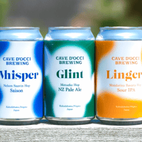 CAVE D'OCCI BREWING  /  SOLO series 3本セット【Glint ,Whisper , Linger】