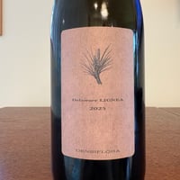 DENSIFLORA  /  Delaware LIGNEA 2025　＊おひとりさま2本まで