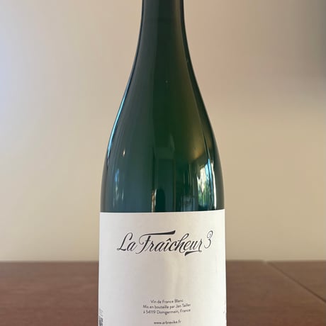L’Arbre Viké  /  Fraîcheur 3 2025