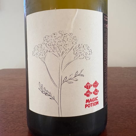 La Petite Frileuse Stéphane Majeune   /  Magic Potion 2024