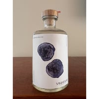 YAMATOUMI  /  PASSION FRUITS GIN 2026