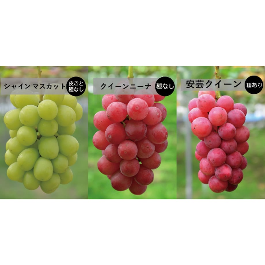 6aa84f97e13da50e1182ec5e