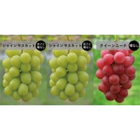 3房SET　■ シャインマスカット（大房）×2房　■ クイーンニーナ（大房）×1房