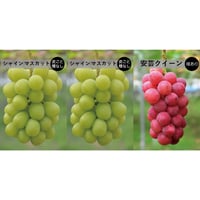 3房SET　■ シャインマスカット（中房）×2房　■ 安芸クイーン（種あり・中房）×1房