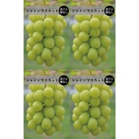 4房SET　■ シャインマスカット（中房）×4房