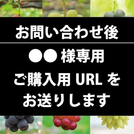 【ご注文お問い合わせ専用】 ご希望の品種・ご予算で作るオリジナルぶどうセット