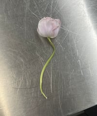 ♡DM決済専用/注文番号:F23310♡