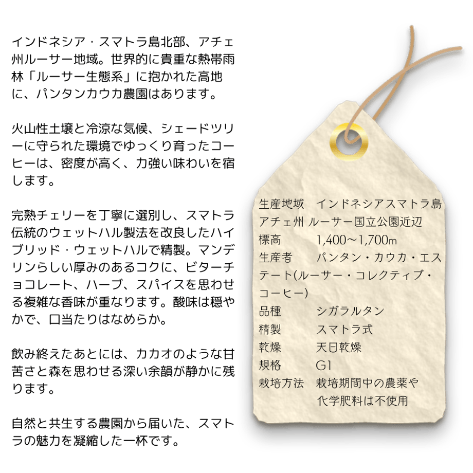 66811eb2b14f5812233db27a