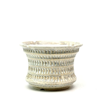 狂鉢 | STORES